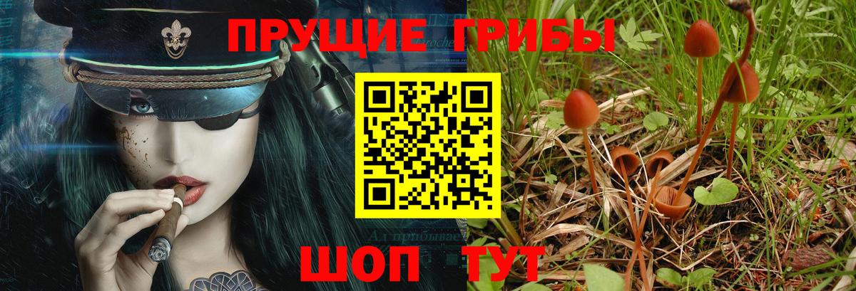 Галлюциногенные грибы MAGIC MUSHROOMS  Вход с VPN  Псилоцибиновые грибы мухоморы  Тобольск 